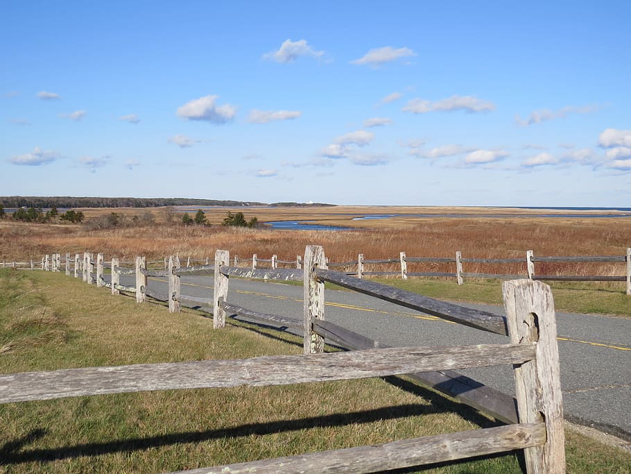 Fall, Ocean, Truro, Cape Cod, Fence, road, fencing, landscape HD wallpaper
