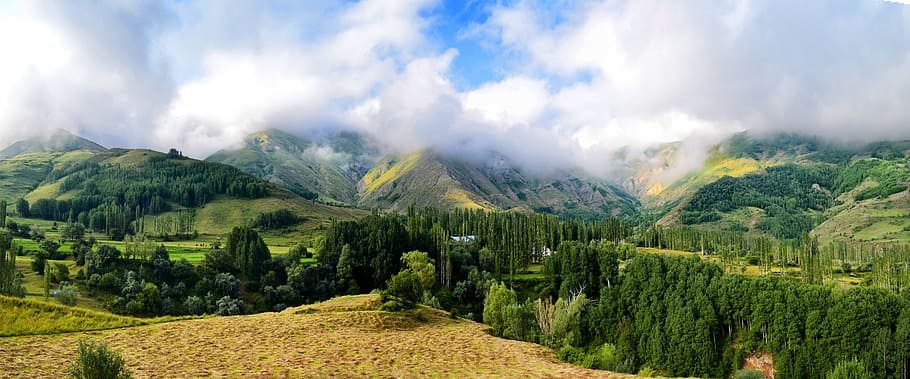 top view of green forest, turkey, nature, landscape, kaçkars, HD wallpaper