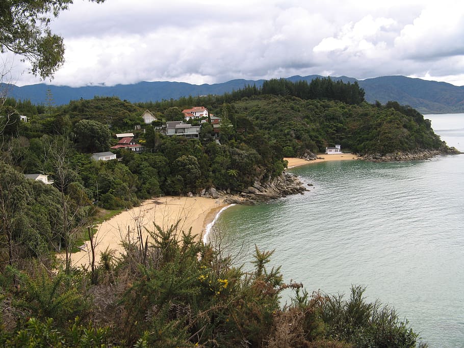 shore, coast, beaches, bay, new zealand, south island, kaiteriteri HD wallpaper