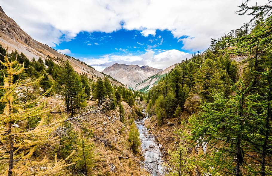 mountain, stream, water, trees, leaves, plant, green, grass HD wallpaper