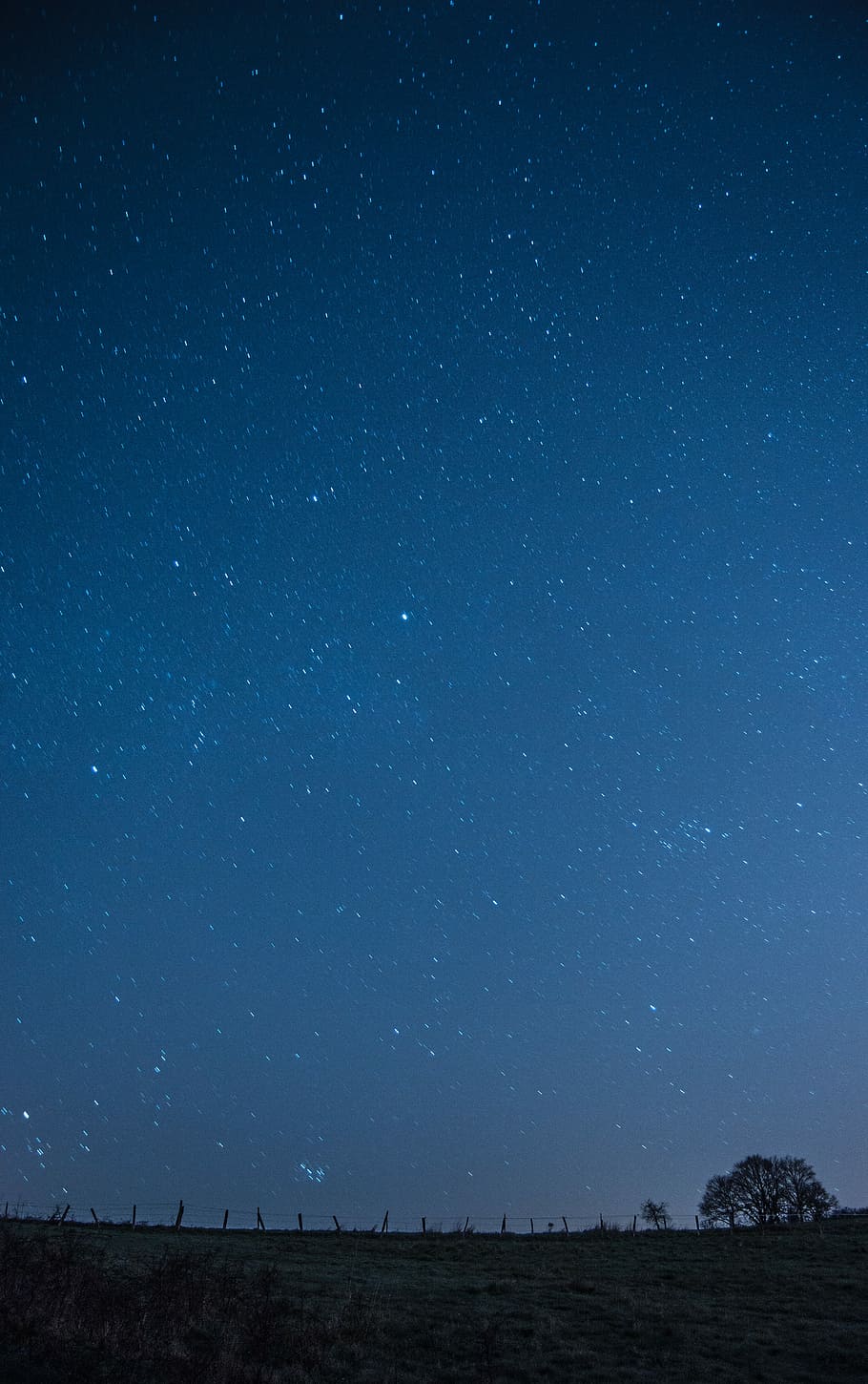 tree under blue sky, grass field under blue sky, night, star HD wallpaper