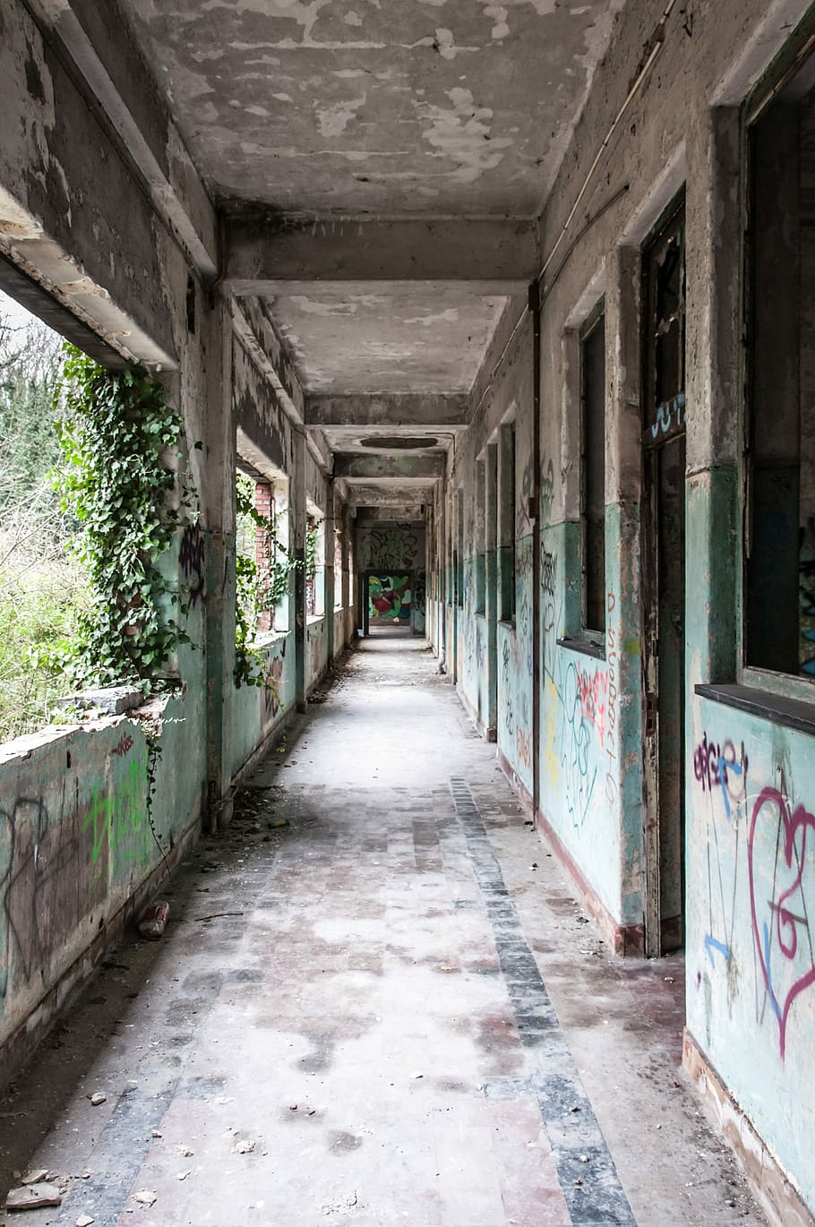 Background, Building, Old, leave, graffiti, expired, architecture HD wallpaper