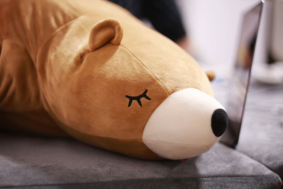 brown bear plush toy laying on brown cloth, brown bear plush toy on gray suede textile HD wallpaper