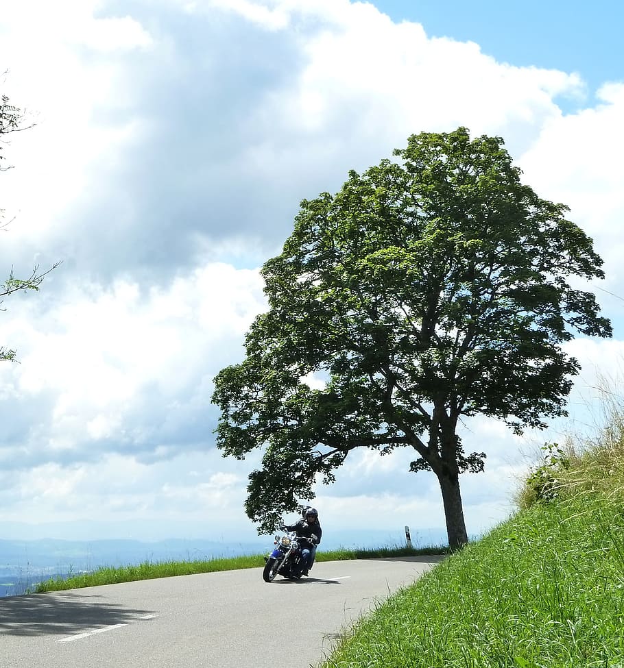 motorcycle, summer, tree, curve, cloud, green, blue, outlook HD wallpaper