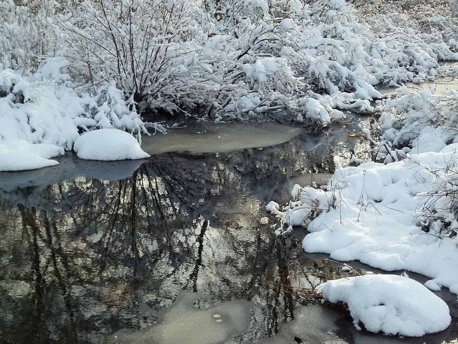 Winter, Snow, Snowstorm, Cold, Blue, landscape, snowfall, ice HD wallpaper