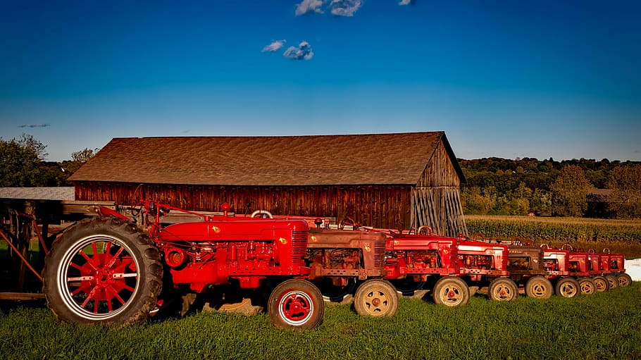 red tractor lot, farmall, tractors, vintage, antique, equipment, HD wallpaper