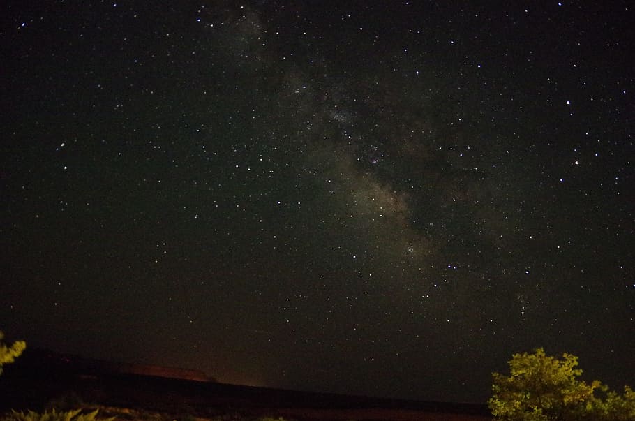 Night, Sky, Stars, no people, nature, outdoors, tree, beauty in nature HD wallpaper