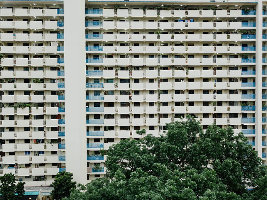 aerial photo of high-rise building, white building near tree during daytime HD wallpaper