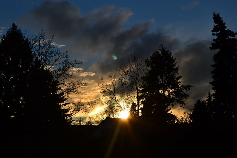 clouds, blue, grey, afterglow, sun, rays, tree, plant, sky HD wallpaper