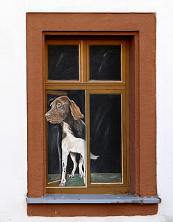 window, illusion, art, facade, painting, funny, humor, spoof HD wallpaper