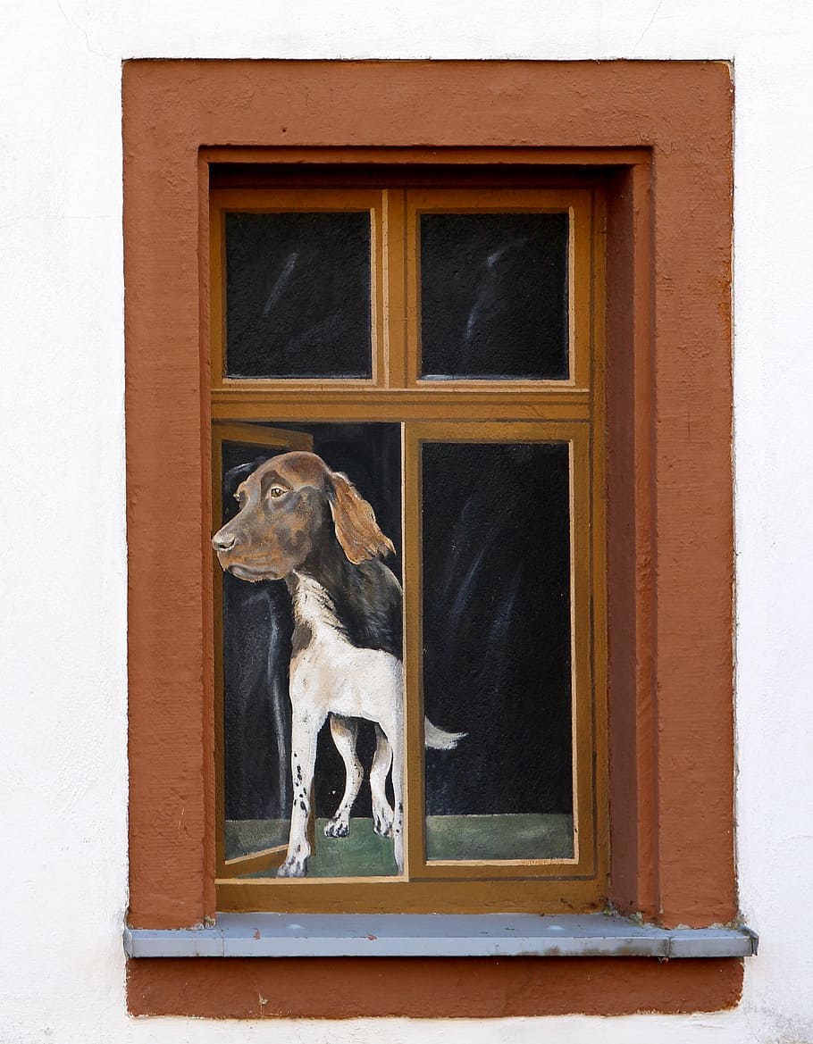 window, illusion, art, facade, painting, funny, humor, spoof HD wallpaper