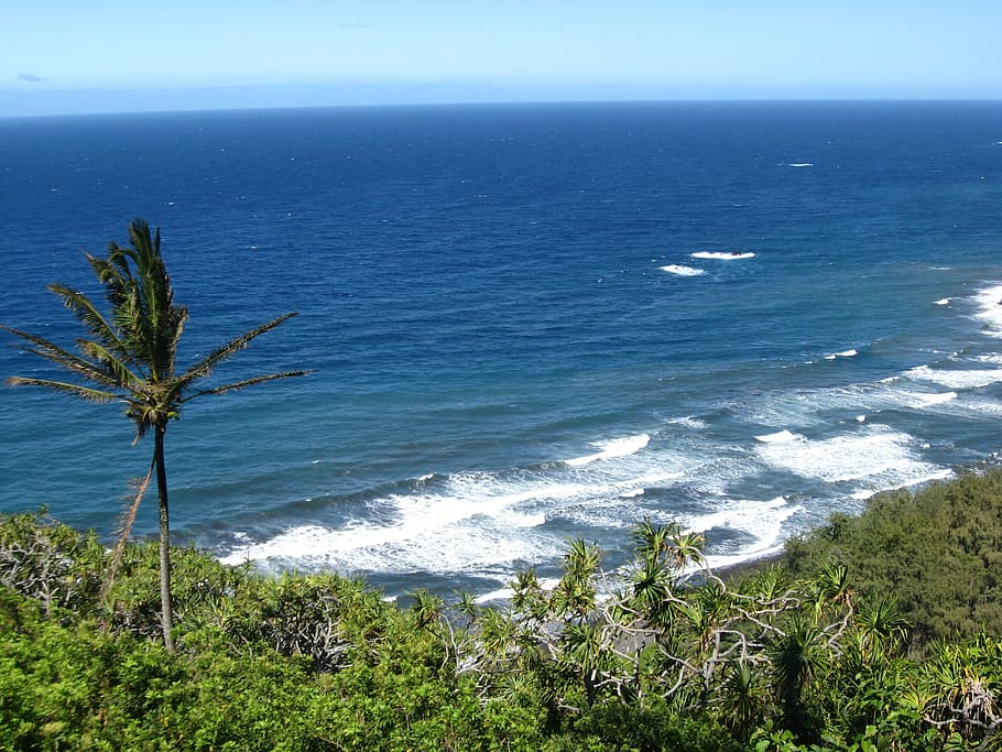 beach, surf, wave, ocean, sea, water, beach surf, waves, shoreline HD wallpaper