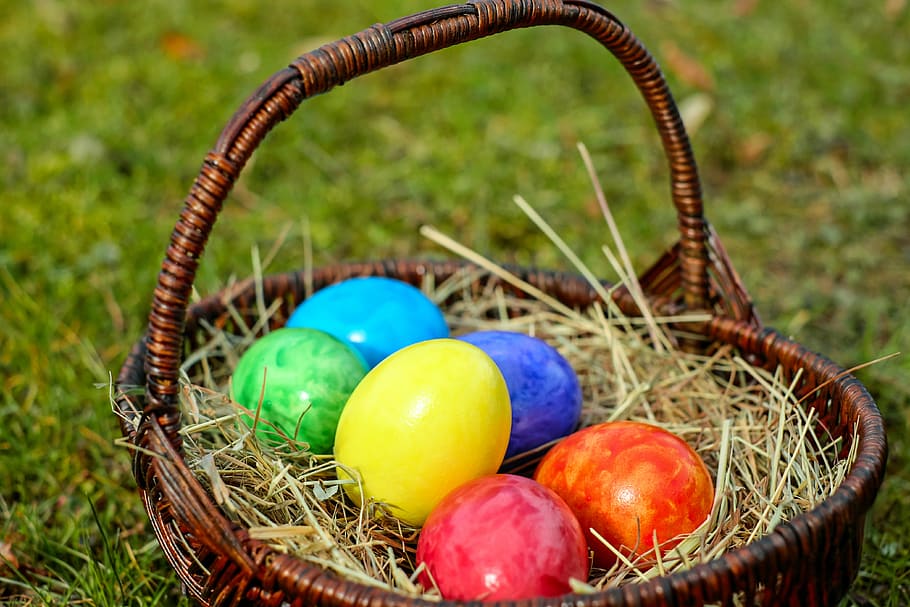 assorted-color Easter eggs in brown wicker basket on green grass HD wallpaper