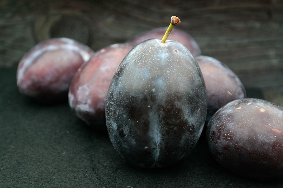 grape fruit, real plums, large, huge, prunus domestica subsp domestica HD wallpaper
