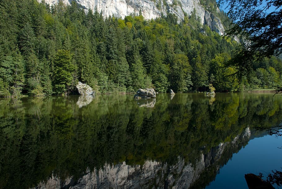 austria, forest, trees, woods, lake, water, reflections, mountain HD wallpaper