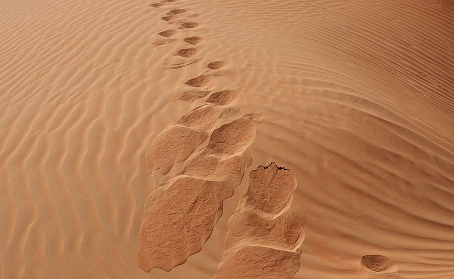 aerial photography of desert, sand, beach, footprints, dune HD wallpaper