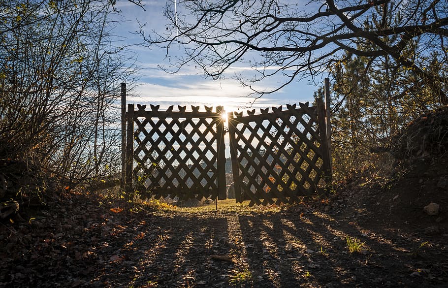 brown wooden fence gate, sun, sunbeam, sunset, nature, light HD wallpaper