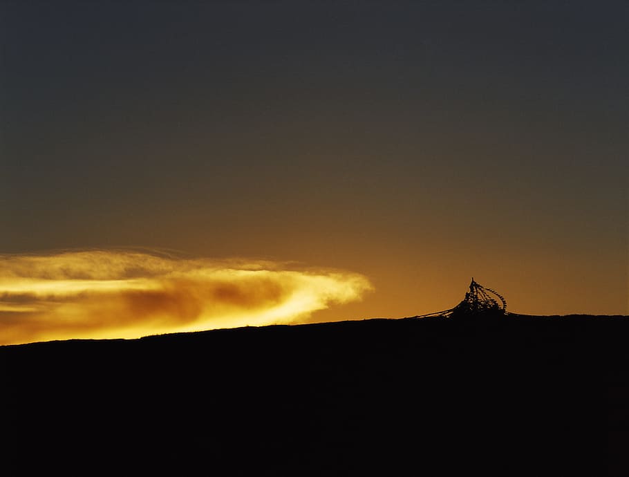 yellowish sky wallpaper, silhouette photo of field during golden ghour HD wallpaper