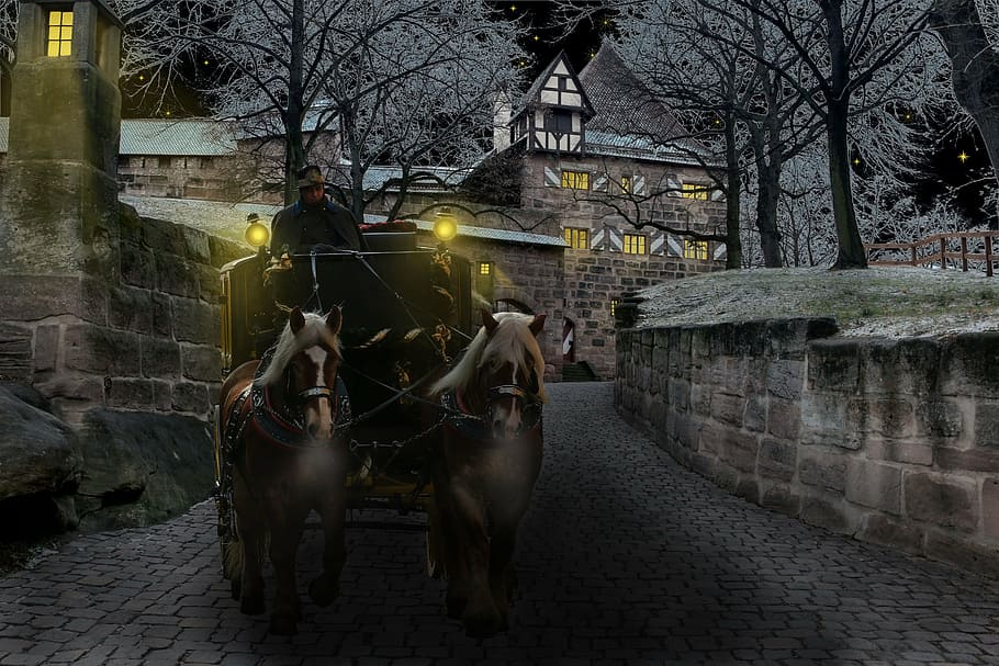 brown and black carriage illustration, winter, coach, castle HD wallpaper
