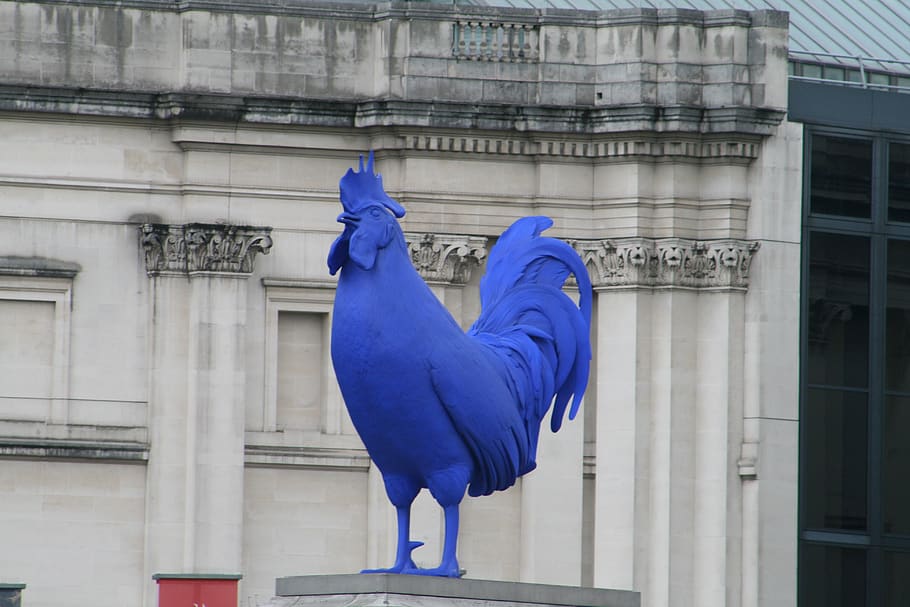 cock, london, blue, building exterior, architecture, built structure HD wallpaper