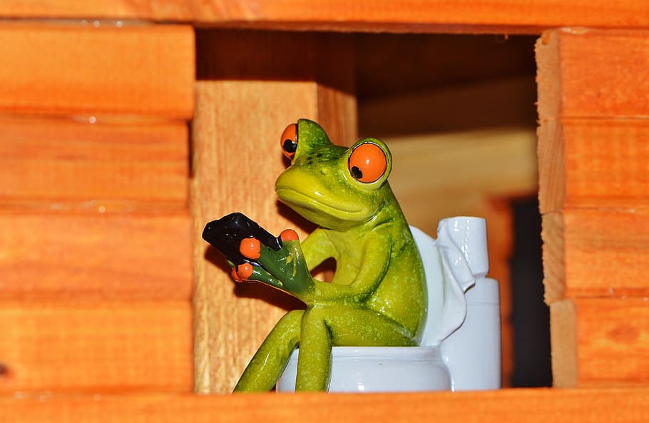 frog sitting on toilet bowl figurine, Frog, Mobile, Mobile Phone