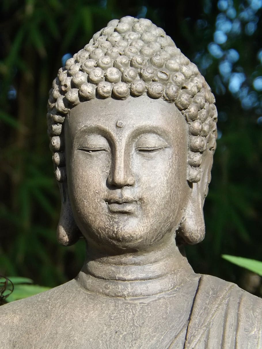 buddha, divinity, god, director, sculpture, bust, the religio HD wallpaper