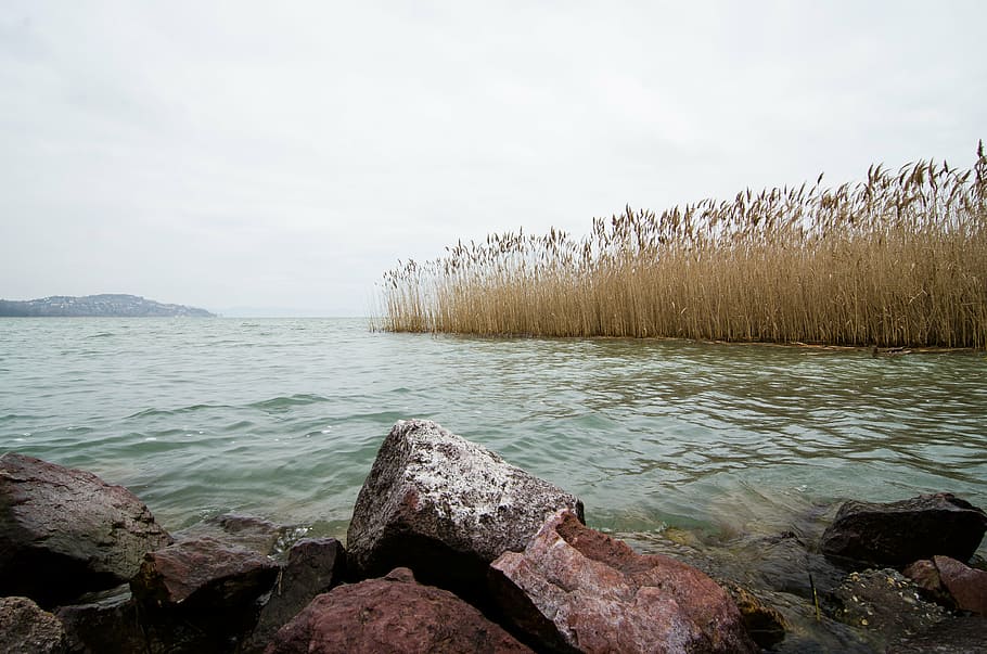 balaton, lake, hungary, water, sky, scenics - nature, beauty in nature HD wallpaper