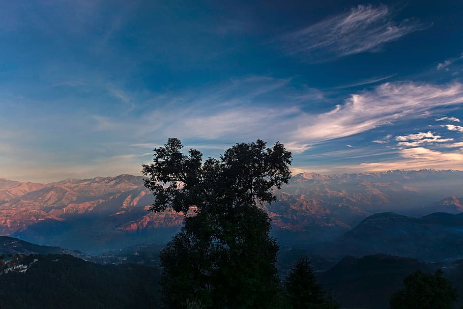 MORNING, green leafed trees, mountain, cloud, sillouette, blue HD wallpaper