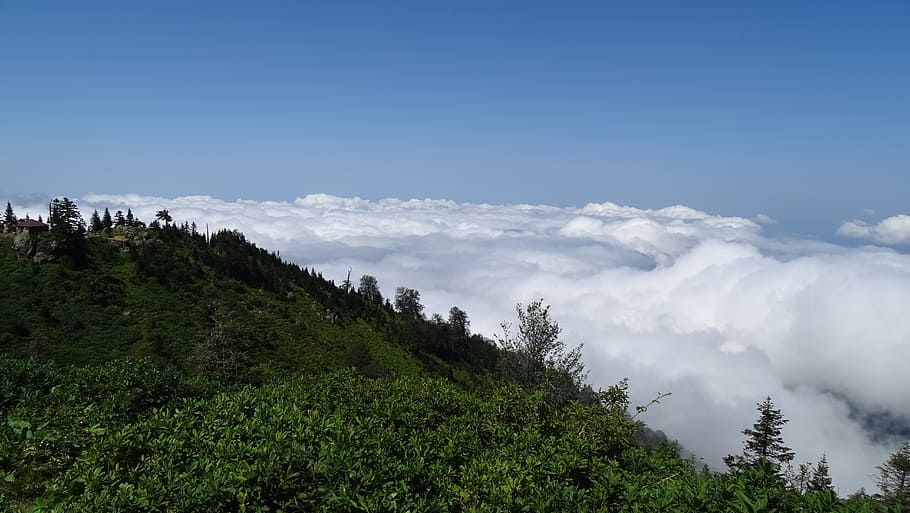 Georgia, Clouds, Green, Forest, mountains, the top of the mountain HD wallpaper