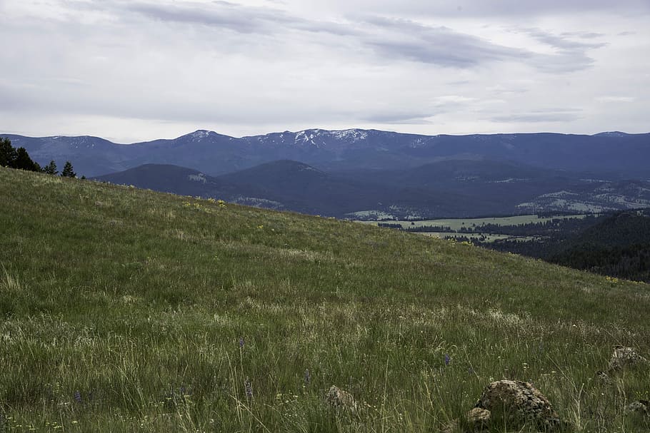 Hillside grass with tall mountains in the background in Helena HD wallpaper