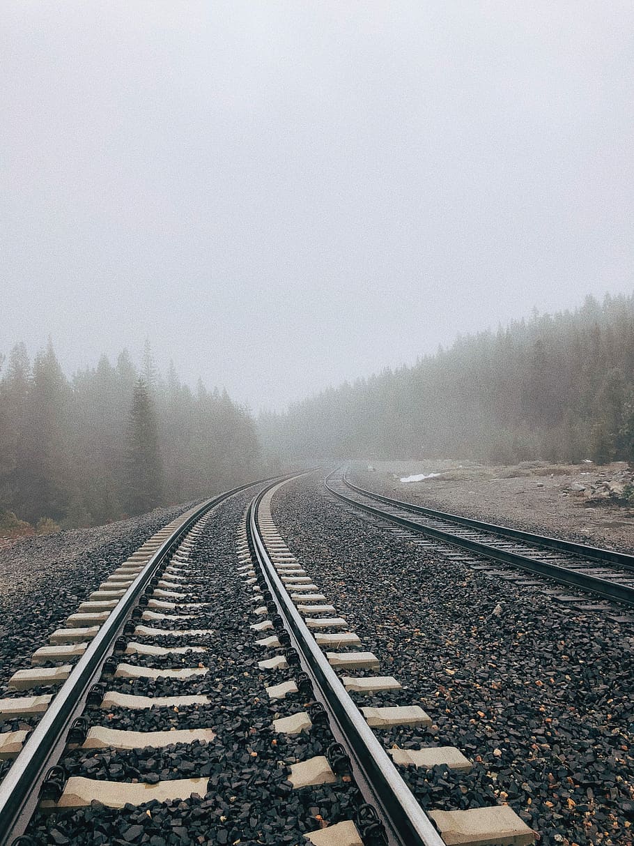 brown and black train track in between trees phtoography, gray and white metal train rail surrounded with trees and fogs HD wallpaper