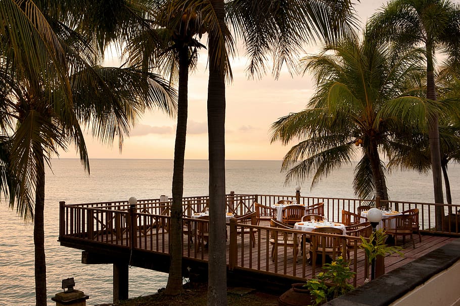 brown wooden deck near palm trees and body of water, beach, beach resort, HD wallpaper
