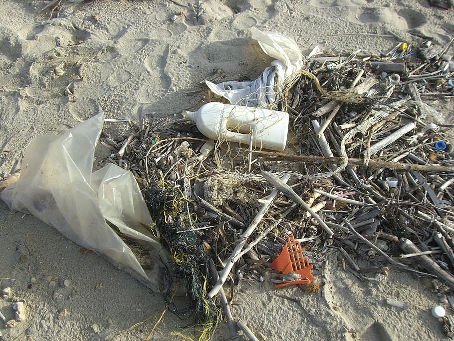 drift twigs on beach shore with plastic bottles and bags during daytime HD wallpaper