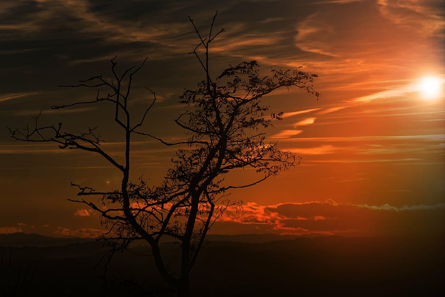 abendstimmung, back light, background, backlit, clouds, color HD wallpaper