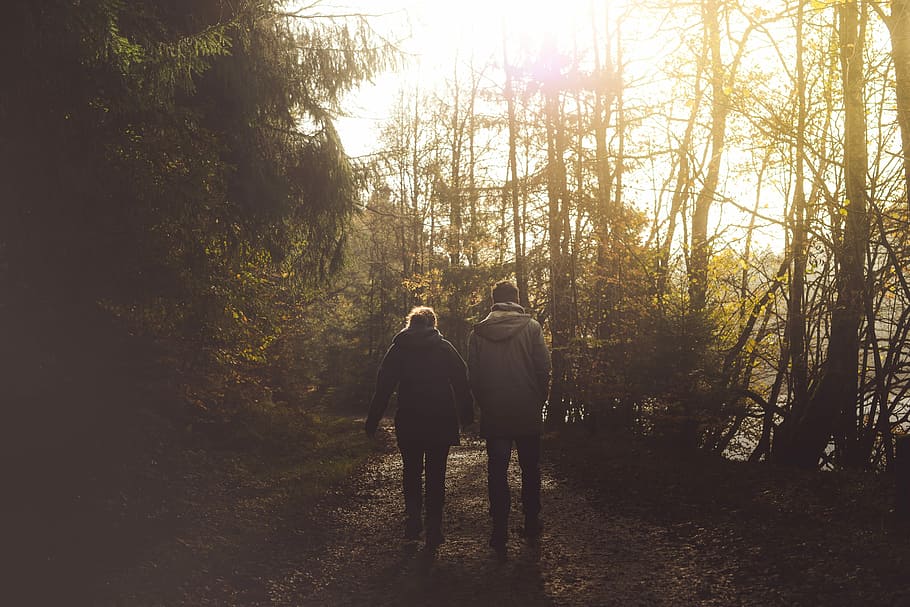 shallow focus photography of of man and woman walking, couple walking in middle of pathway between trees HD wallpaper