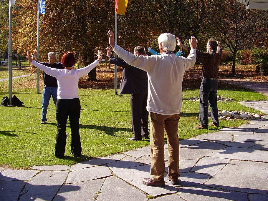 people doing zumba in the park during day time, Qi Gong, Gymnastics, HD wallpaper