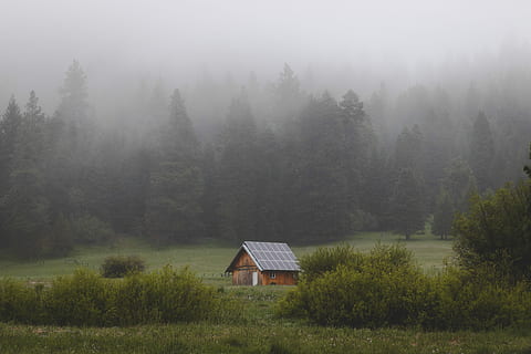 brown and black solar panel house, house on grass field near pine trees HD wallpaper