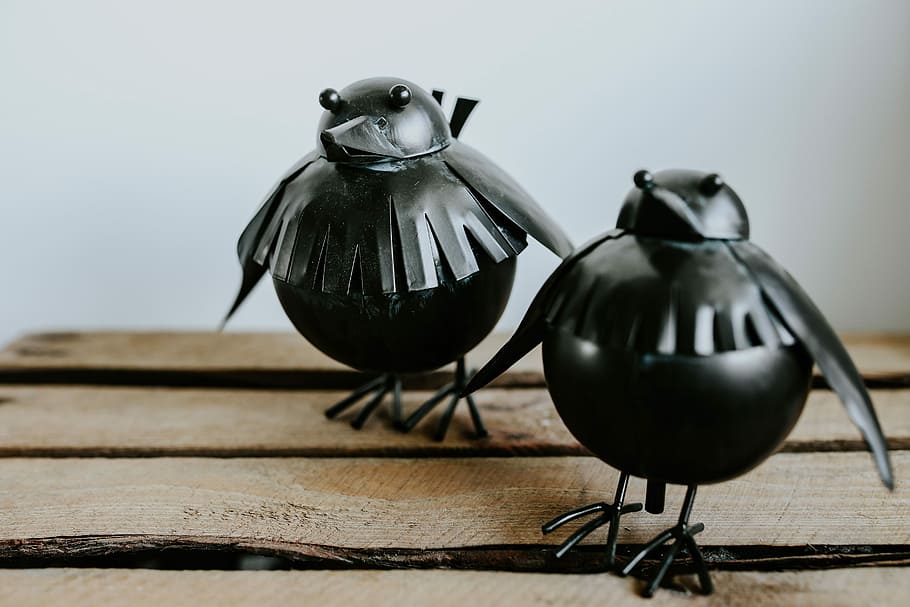 Little black plastic birds with a smartphone on a shelf, decor HD wallpaper