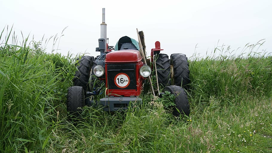tractor, old, nature, view, netherlands, green, plant, grass HD wallpaper