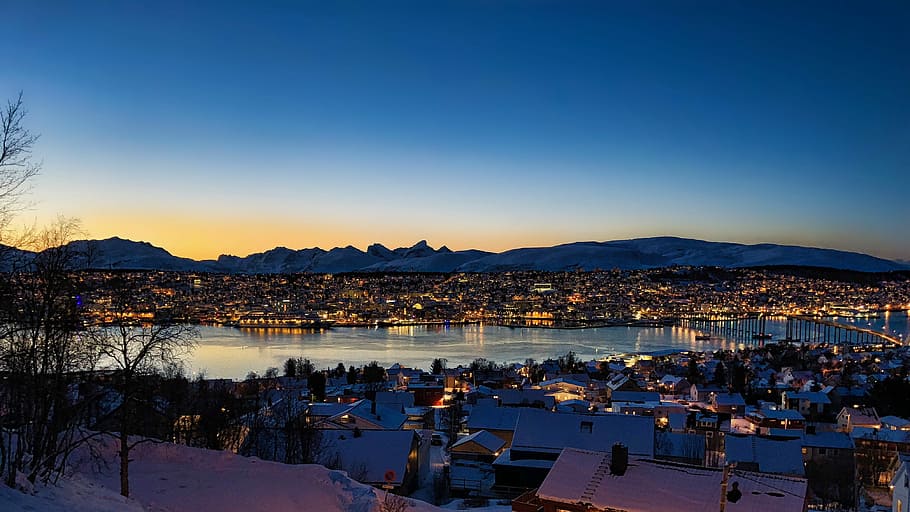 city buildings during night time, bird's eye view photography of house facing body of water HD wallpaper