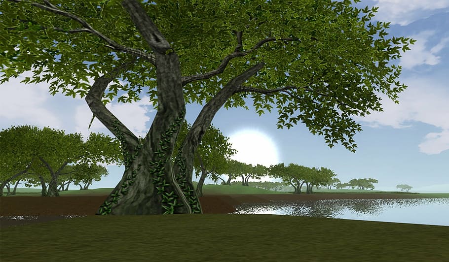 green leafed tree, trees, sky, sun, blue, nature, 3d, 3 dimensional HD wallpaper