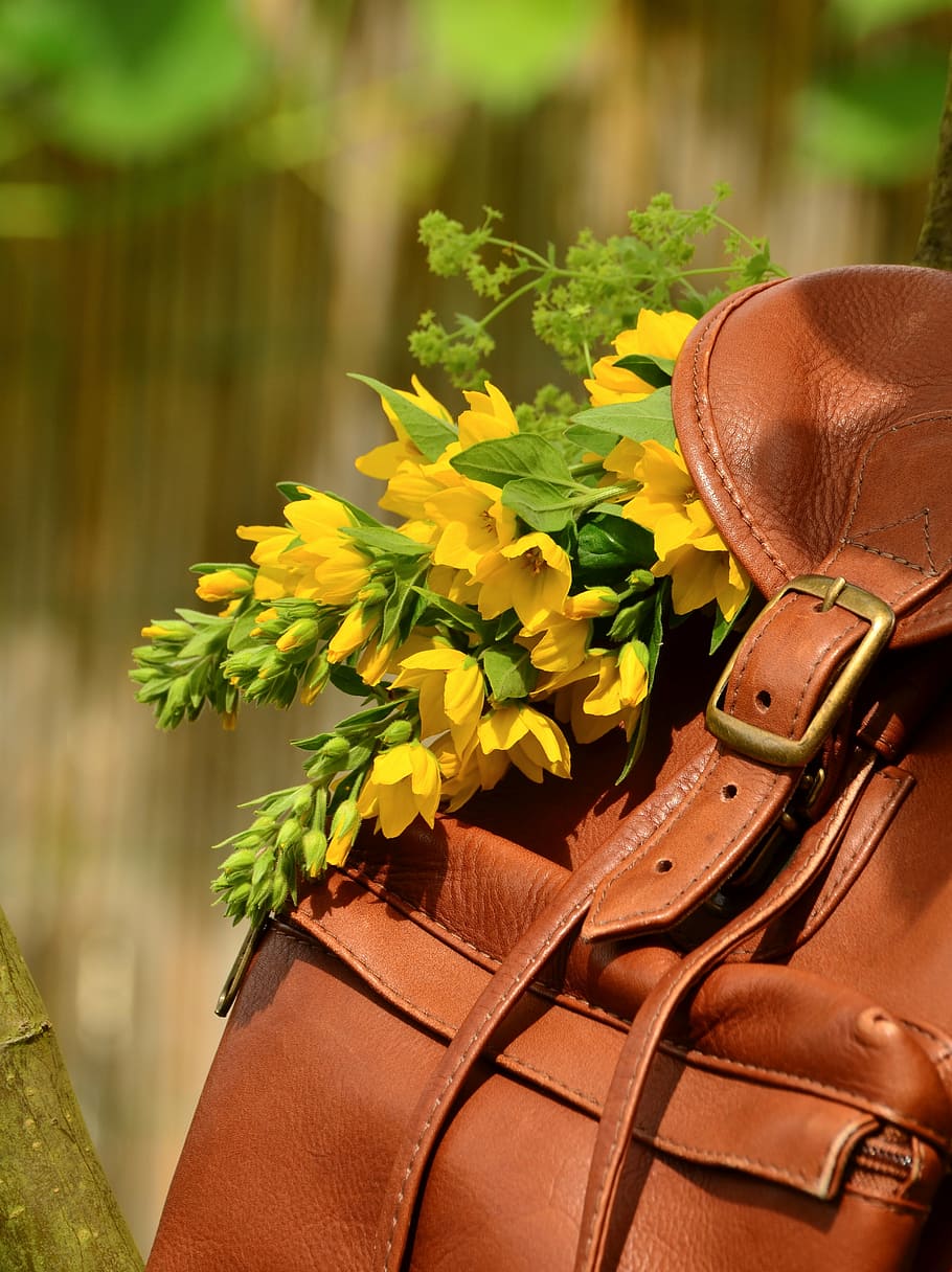 selective focus of leather backpack with flowers, brown leather HD wallpaper