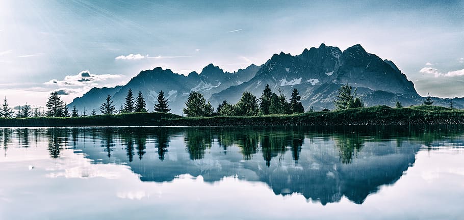landscape photography of tree surrounded by water during day time HD wallpaper