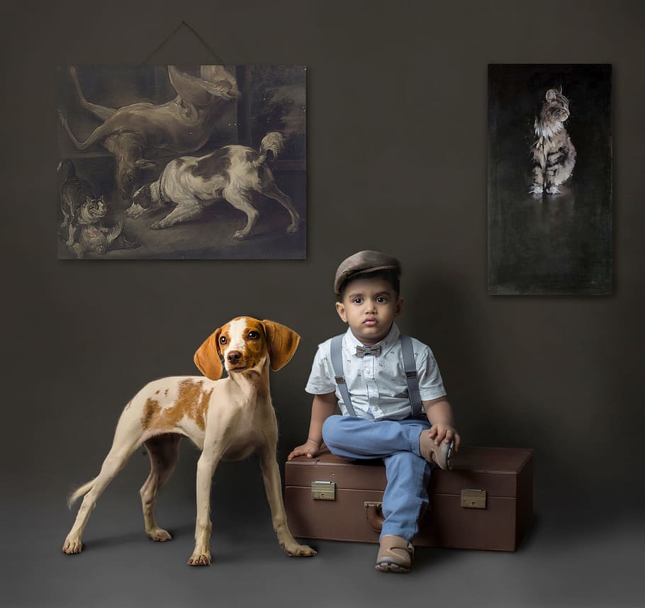 boy wearing white top with blue jeans sitting beside brown and white dog, HD wallpaper