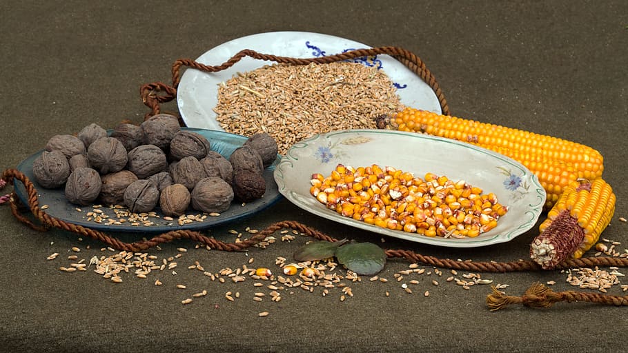 Still Life, Nuts, Cereals, Corn, piston, plate, food and drink HD wallpaper