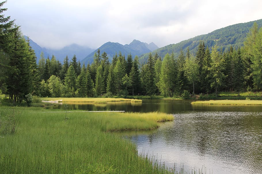 Bergsee, Forest, Mountains, Water, nature, landscape, alpine HD wallpaper