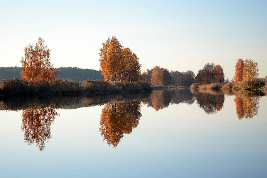 reflection, nature, water, lake, symmetry, tree, tranquility HD wallpaper
