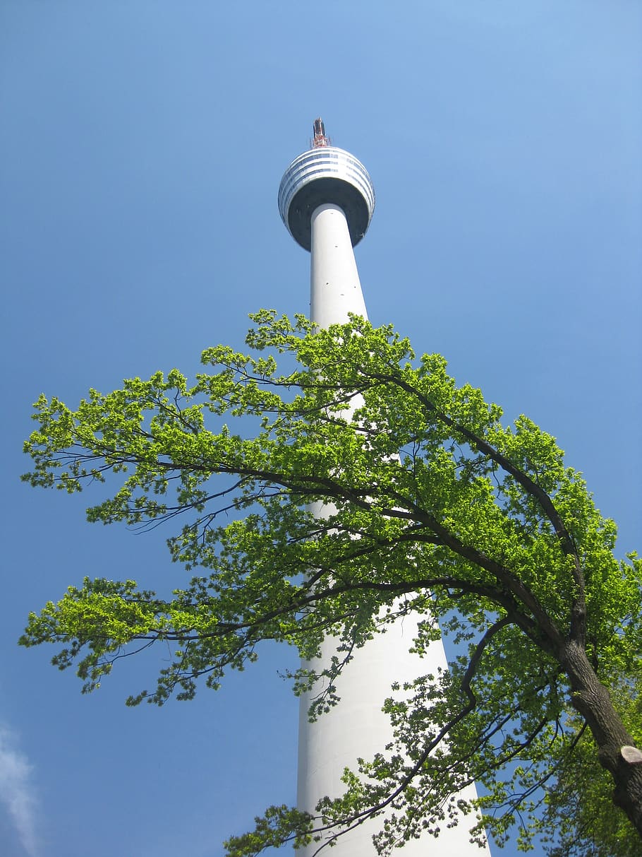 tower, tree, sky, view, stuttgart, tv tower, observation tower HD wallpaper
