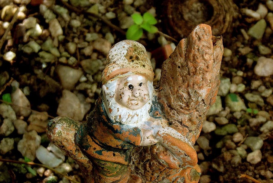 garden, dwarf, gnome, human representation, no people, plant HD wallpaper