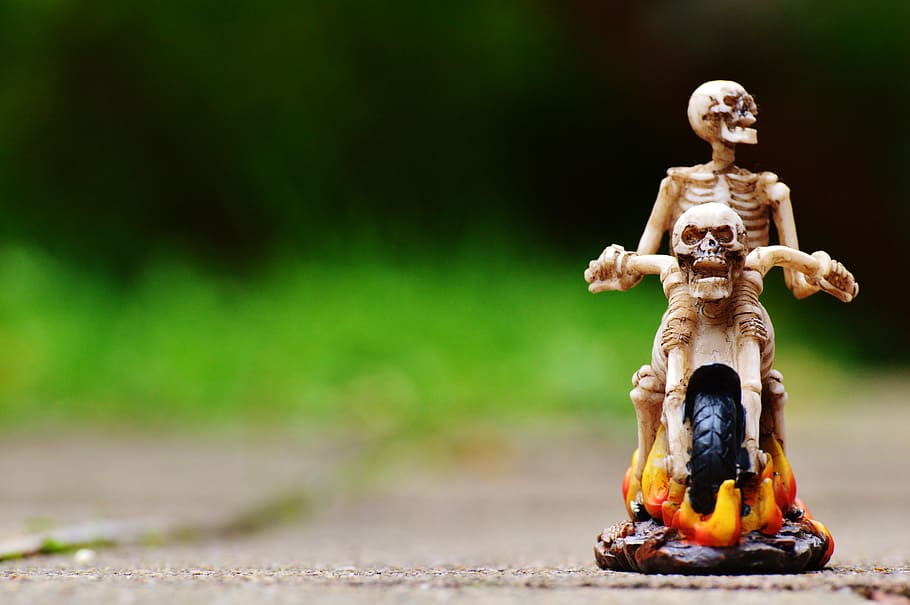 selective focus photography two gray skull miniature, biker HD wallpaper